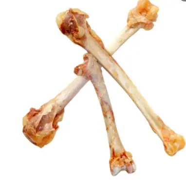 Can You Grind Chicken Bones In A Blender?